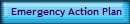 Emergency Action Plan