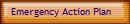 Emergency Action Plan